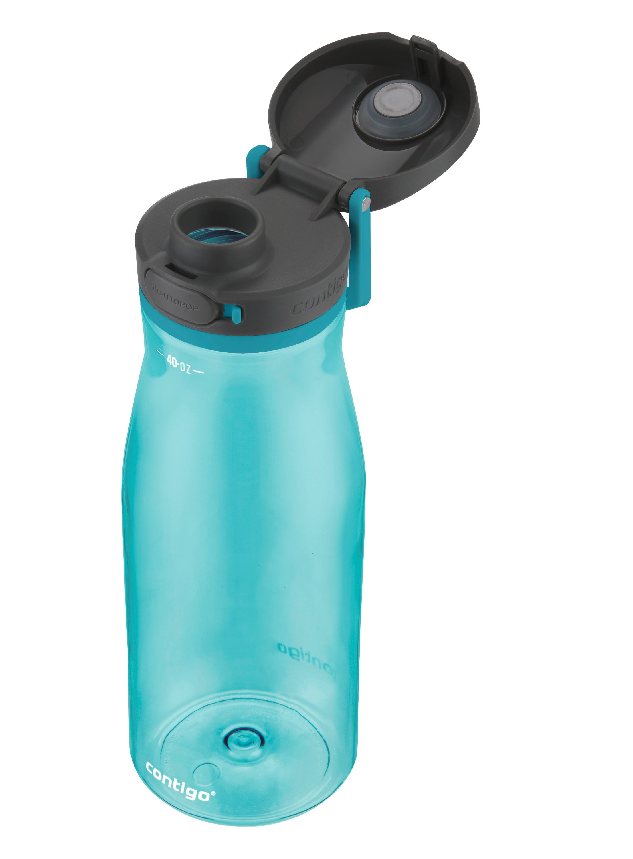 Contigo 70599 Jackson Water Bottle with Wide Mouth Opening, 32 Oz, Jade -  Bed Bath & Beyond - 25455237