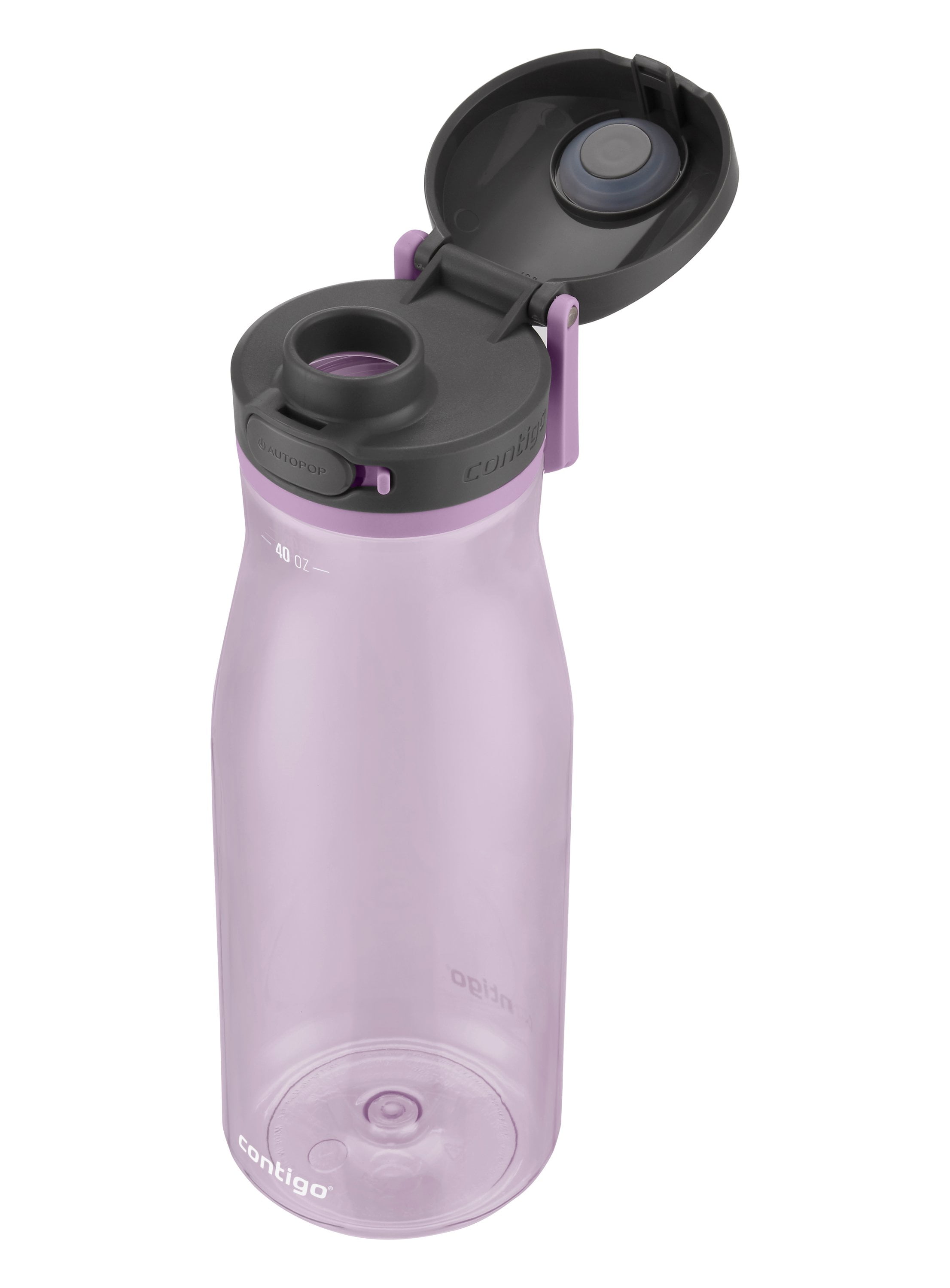 Contigo 70600 Jackson Water Bottle with Wide Mouth Opening, 32 Oz, Sangria  - Bed Bath & Beyond - 25455319