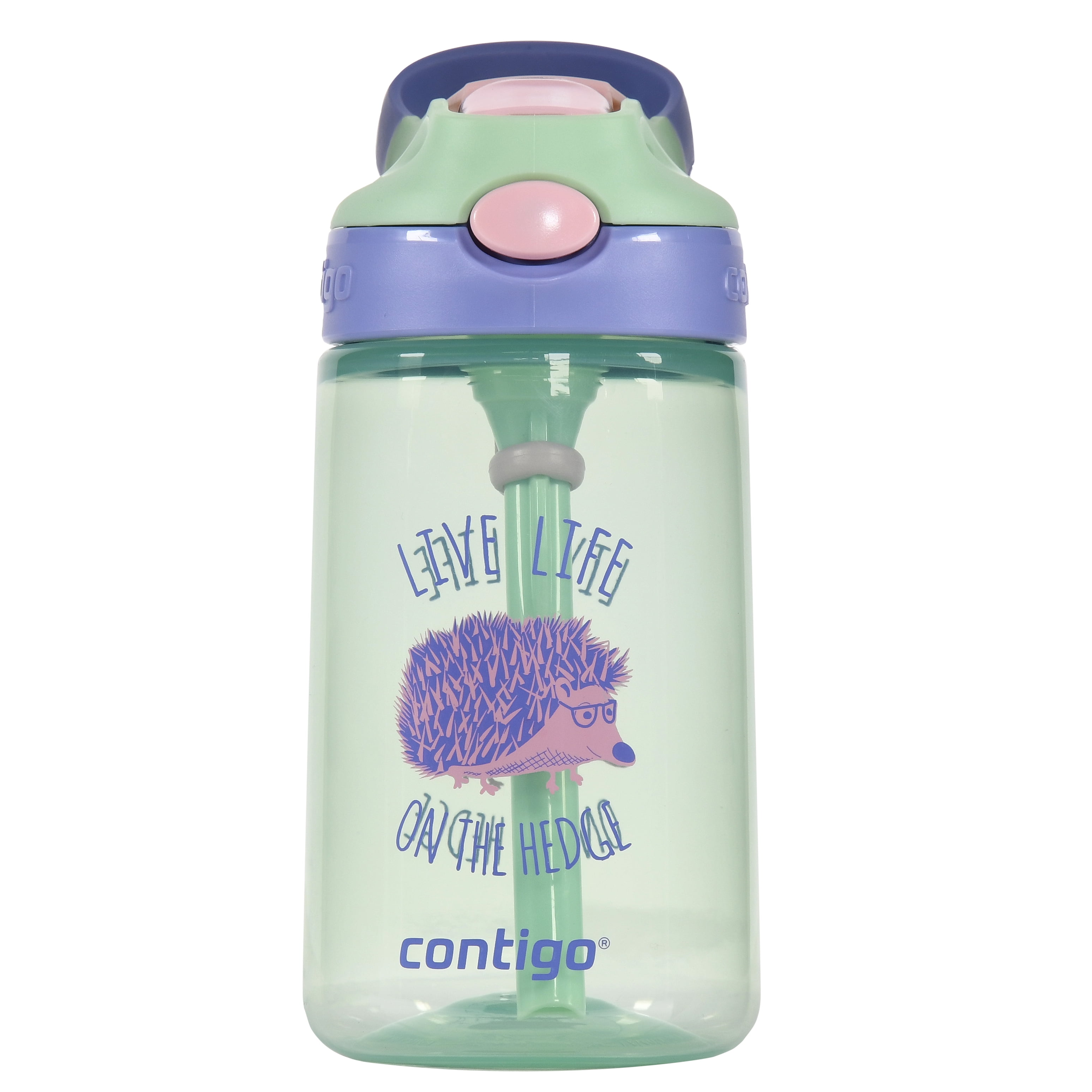 Contigo Kids Autospout Straw Gizmo Flip Water Bottle 14 Oz Mint