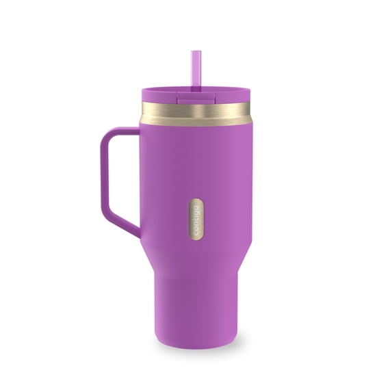 Contigo 30 oz Stainless Steel Water Bottle Tumbler with Straw – Leak-Proof Insulated Travel Mug, Reusable Water Bottle, Side Handle, Purple/Champagne