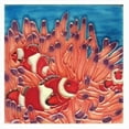 thumbnail image 1 of Continental Art Center SD-119 4 x 4 in. Clown Fish Ceramic Art Tile, 1 of 1
