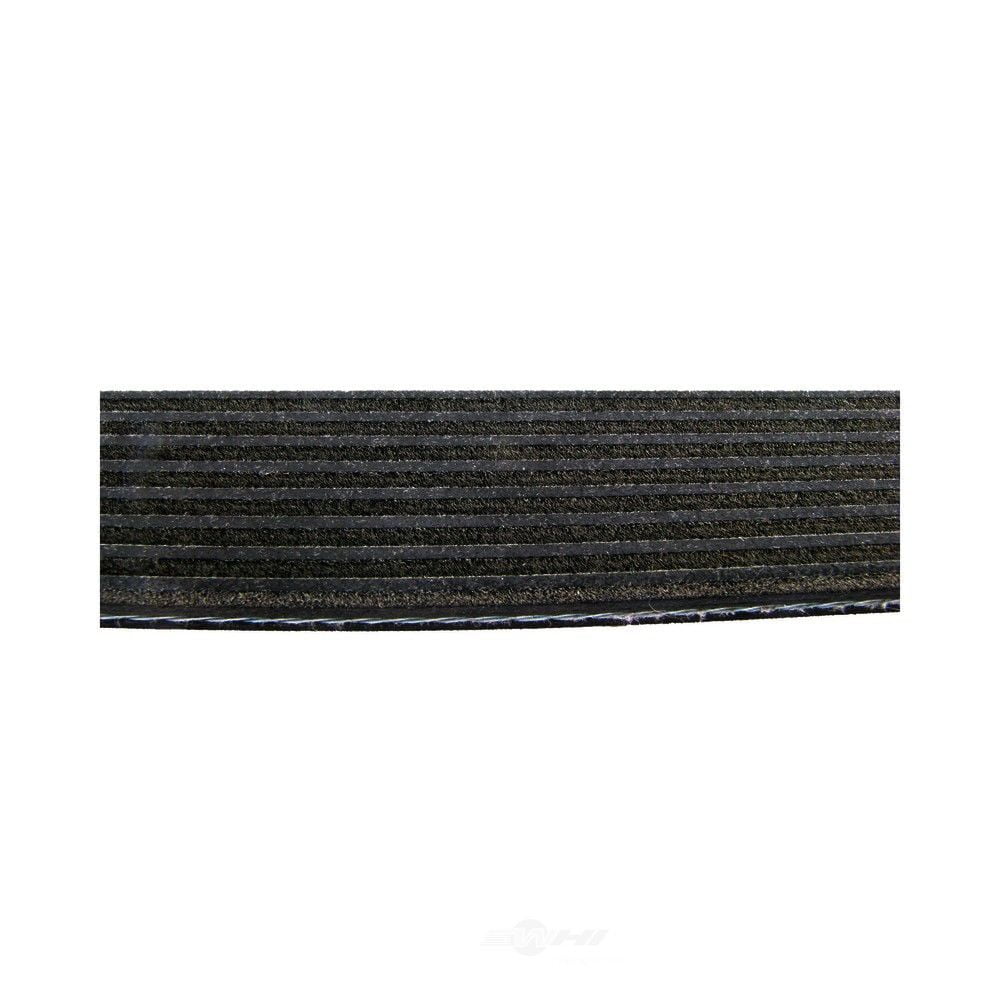 Continental D4081254 Dual-Sided Multi-V Belt
