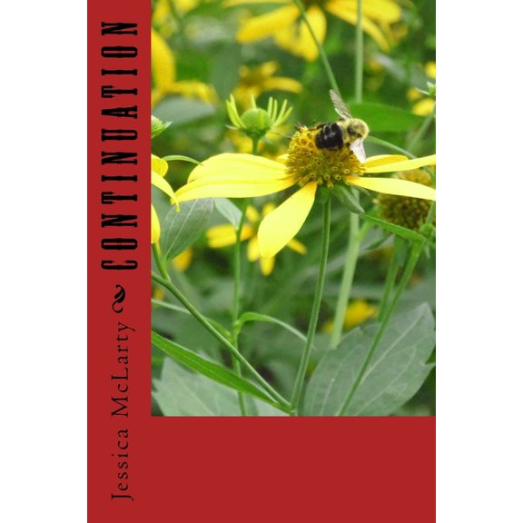 2nd Continuation, Book 2, (Paperback)