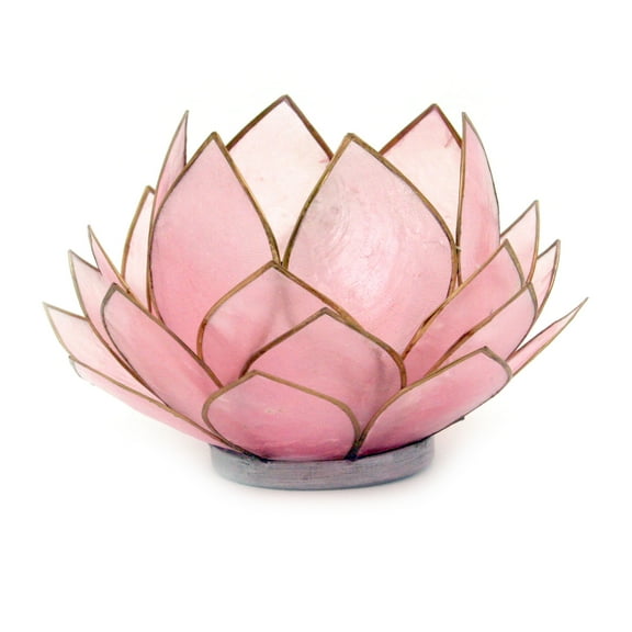 Contrast Light Pink Capiz Shell Opening Lotus Flower Bulb Tealight Candle Holder