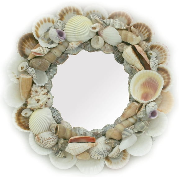 Contrast Natural Seashell Frame Small Round Wall Mirror 10 Inch Diameter, Multicolored, One Size