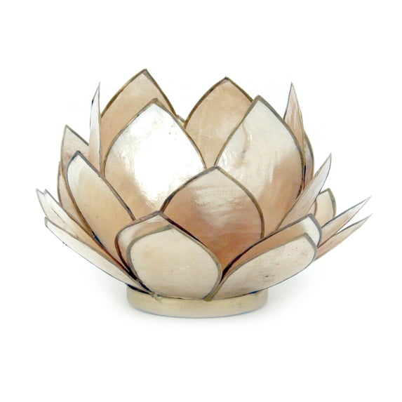 Contrast Brown Capiz Shell Opening Lotus Flower Bulb Tealight Candle Holder