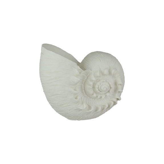 Contrast White Sandstone Finish Frilled Nautilus Shell Accent Lamp 10 inch