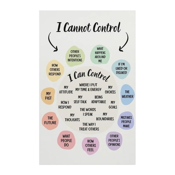 Control Circle Mental Health Guide What I Can and Cannot Control Poster for Classroom Office Decor Counseling Resources Therapy Tools