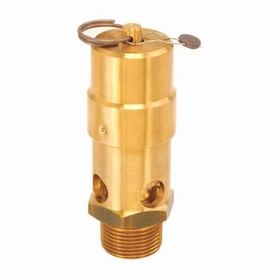Control Devices Air Safety Valve,1" Inlet, 200 psi SW10-0A200