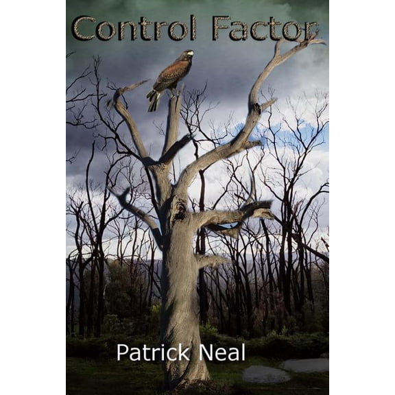 Control Factor: The First Book in the Trilogy of the Control Factor Series