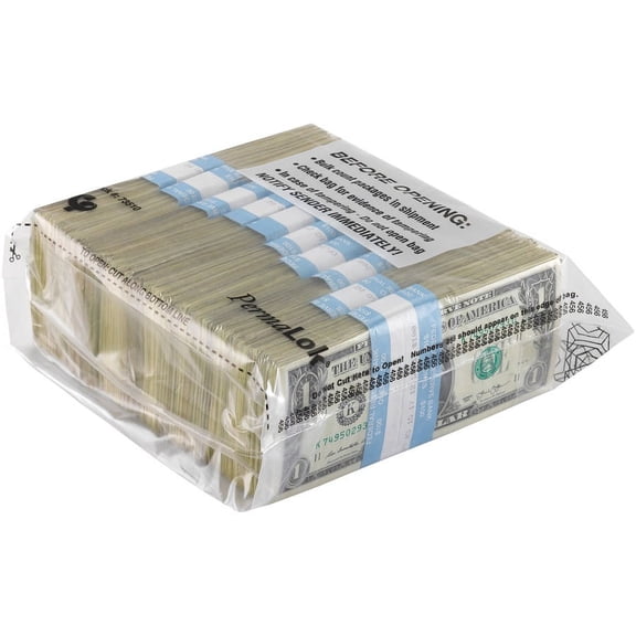 ControlTek PermaLOK Bundle Bags - 8" Width x 9.25" Length - Clear - 250/Pack - Cash, Bill | Bundle of 5 Packs