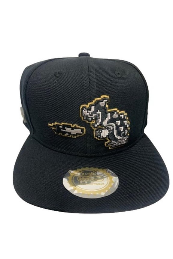 Men's Snap Back Hat
