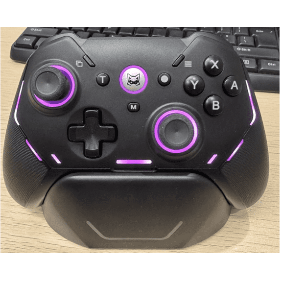 Controller for Switch 2/Switch OLED/Switch Lite, QQV Switch Pro Controller with Charging Dock & Hall Effect Trigger and RGB, Macro Back Buttons, Turbo Adjustable Vibration