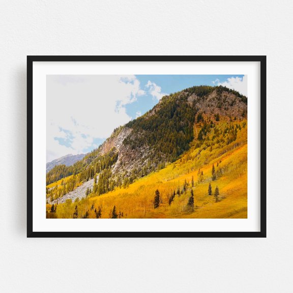 Conundrum Creek Hillside - Aspen Colorado Photography Autumn Mountain Landscape Nature Scenic Wilderness Forest Black Framed Wall Art Print 9 x 12 inches