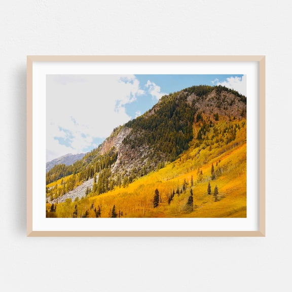 Conundrum Creek Hillside - Aspen Colorado Photography Autumn Mountain Landscape Nature Scenic Wilderness Forest Oak Framed Wall Art Print 9 x 12 inches