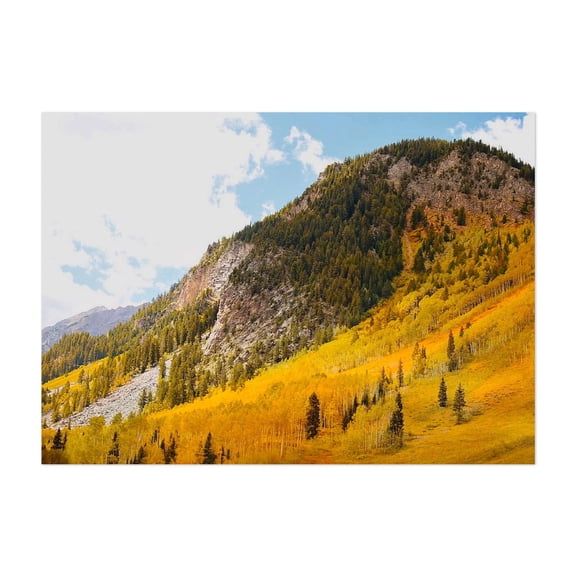 Conundrum Creek Hillside - Aspen Colorado Photography Autumn Mountain Landscape Nature Scenic Wilderness Forest Unframed Wall Art Print 32 x 48 inches