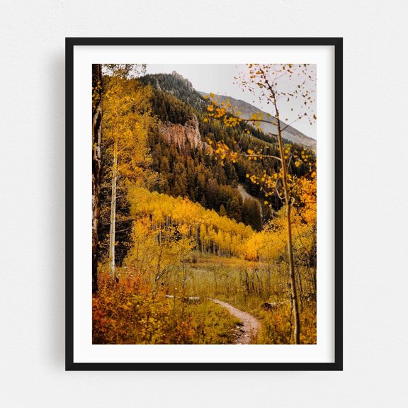 Conundrum Creek Trail - Aspen Colorado Photography Autumn Landscape Nature Mountain Forest Scenic Woodland Black Framed Wall Art Print 16 x 20 inches