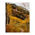 thumbnail image 1 of Conundrum Creek Trail - Aspen Colorado Photography Autumn Landscape Nature Mountain Forest Scenic Woodland Unframed Wall Art Print 24 x 30 inches, 1 of 13