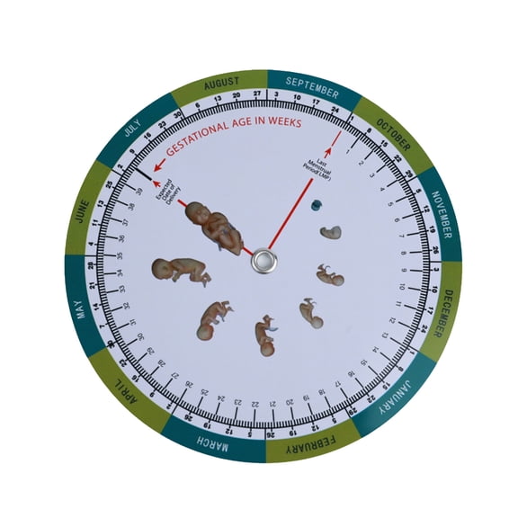 Convenient Compact 12cm Baby Pregnancy Wheel Wall Mounted Growth Measurement Chart For Expecting Mothers And New Parents