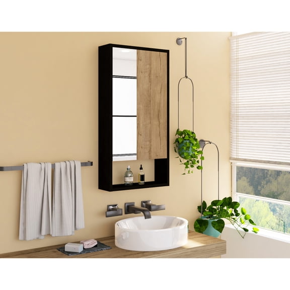 Convenient Medicine Organization - Store Medicines Neatly in a Cabinet with Shelves