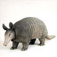 thumbnail image 1 of Conversation Concepts Armadillo Standard Figurine, 1 of 1
