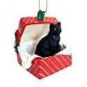 Conversation Concepts Black Shorthaired Tabby Cat Gift Box Polyethylene Terephthalate Red Ornament