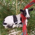 thumbnail image 1 of Conversation Concepts Holstein Cow Tiny Miniature One Christmas Ornament - Delightful!, 1 of 2