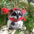 thumbnail image 1 of Conversation Concepts Raccoon Original Ornament, 1 of 1