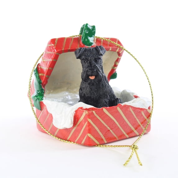 Conversation Concepts Schnauzer Black w/Uncropped Ears Gift Box Red Ornament