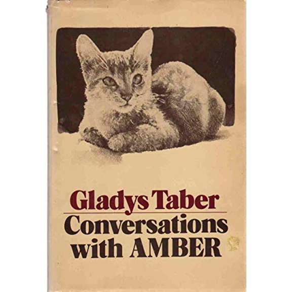 Pre-Owned Conversations With Amber Hardcover