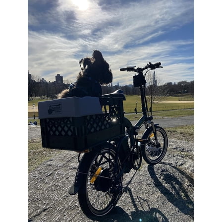 Conversion/Bike Dog Carrier Package (Crate NOT Included) Padded Liner is 2 Sizes in One + 4 Point Safety Harness & Heavy Duty Fasteners Holds Pets 20lb+ for Safe Pet Bicycle Travel