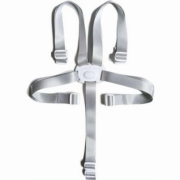 Convertible Child Safety Harness 5-Point to 3-Point Adjustable Restraint for High Chairs, Strollers