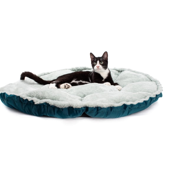 Convertible Clamshell Cat Bed, Reversible and Fluffy Scent - Soaking Bed for Indoor Cats, Ideal for Cats to Relax Any Time, Green