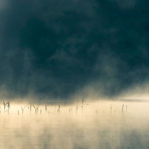 Oneirogen - Convivium - Music & Performance - Vinyl