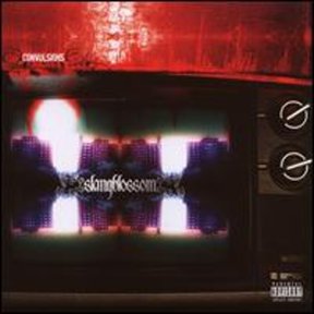 Convulsions (CD) by Slangblossom