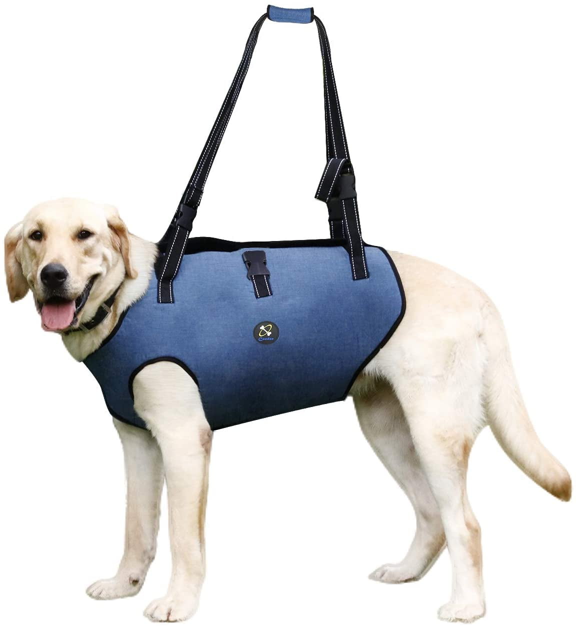 Coodeo Dog Lift Harness, Pet Support & Rehabilitation Sling Lift Adjustable Padded Breathable Straps for Old, Disabled, Joint Injuries, Arthritis, Loss of Stability Dogs Walk (Blue, 2XL)
