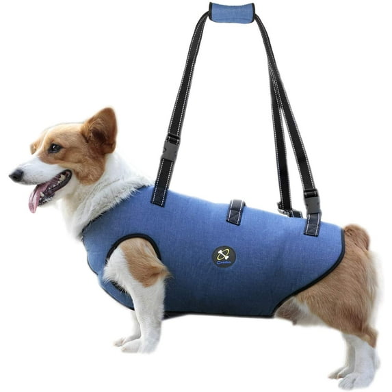 Coodeo Dog Lift Harness, Pet Support & Rehabilitation Sling Lift Adjustable Padded Breathable Straps for Old, Disabled, Joint Injuries, Arthritis, Loss of Stability Dogs Walk (Blue, XS)