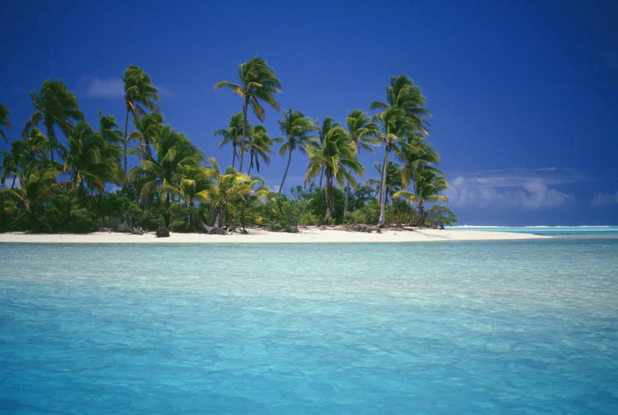 Cook Islands Coastal Scenic Of Island With Palm Trees Beach Blue Water Canvas Art - Kyle Rothenborg Design Pics (18 x 12)