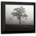 thumbnail image 1 of Cook, Jamie 12x12 Black Modern Framed Museum Art Print Titled - Fog Tree Study I, 1 of 5