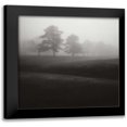 thumbnail image 1 of Cook, Jamie 15x15 Black Modern Framed Museum Art Print Titled - Fog Tree Study II, 1 of 5