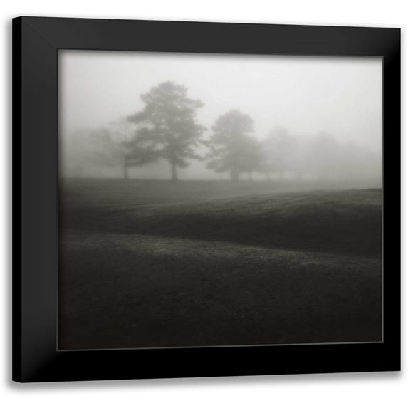 Cook, Jamie 15x15 Black Modern Framed Museum Art Print Titled - Fog Tree Study II