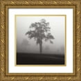 thumbnail image 1 of Cook, Jamie 15x15 Gold Ornate Wood Framed with Double Matting Museum Art Print Titled - Fog Tree Study I, 1 of 4