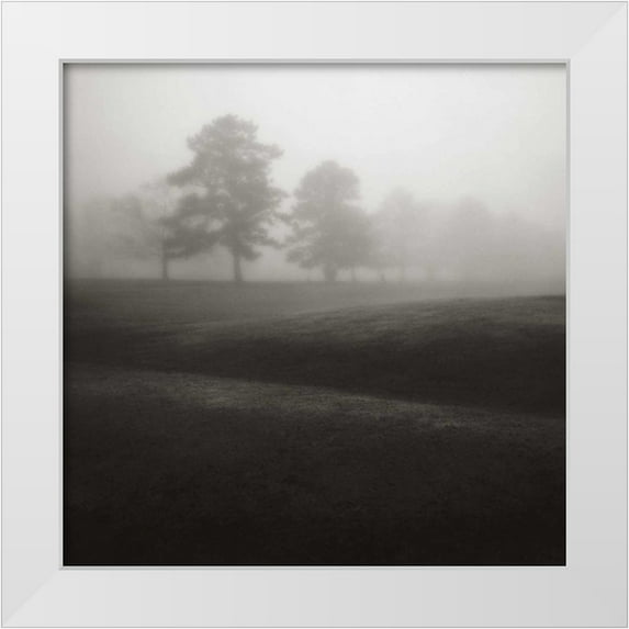 Cook, Jamie 15x15 White Modern Wood Framed Museum Art Print Titled - Fog Tree Study II