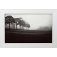 thumbnail image 1 of Cook, Jamie 18x13 White Modern Wood Framed Museum Art Print Titled - Fog Tree Study III, 1 of 4