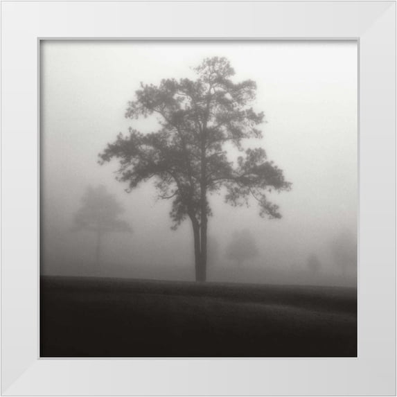 Cook, Jamie 20x20 White Modern Wood Framed Museum Art Print Titled - Fog Tree Study I