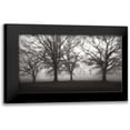 thumbnail image 1 of Cook, Jamie 24x16 Black Modern Framed Museum Art Print Titled - Fog Tree Study IV, 1 of 5