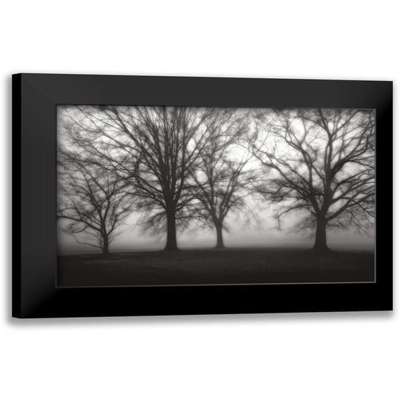 Cook, Jamie 24x16 Black Modern Framed Museum Art Print Titled - Fog Tree Study IV