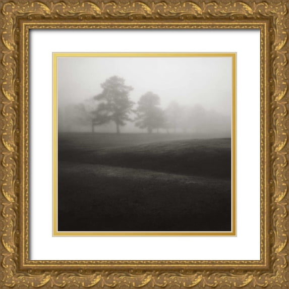 Cook, Jamie 26x26 Gold Ornate Wood Framed with Double Matting Museum Art Print Titled - Fog Tree Study II