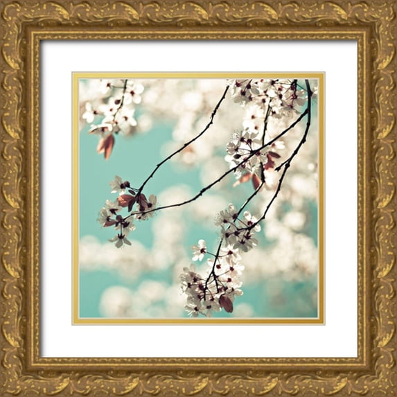 Cook, Sylvia 15x15 Gold Ornate Wood Framed with Double Matting Museum Art Print Titled - White Blossoms