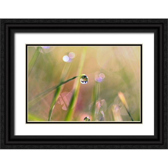 Cook, Sylvia 18x13 Black Ornate Wood Framed with Double Matting Museum Art Print Titled - Waterdrop